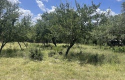 713 Mountain Creek Trail, Boerne, TX 78006