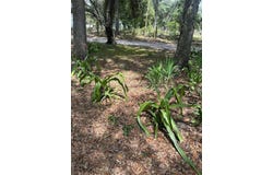9068 SE 12TH DRIVE, WEBSTER, FL 33597