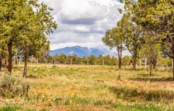 180 County Road 122A, Hesperus, CO 81326