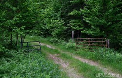 TBD- 40ac Mud Lake, Lake Linden, MI 49945