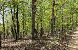 0 County Road 418, Piedmont, MO 63957