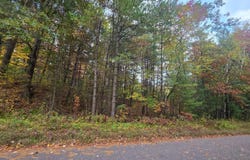 ROOSEVELT ST lot: 17-18, Tomahawk, WI 54487