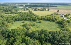 Parcel 3 Oaklane Road, Lyons, MI 48851