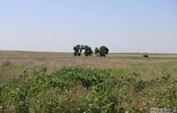 La Salle, CO 80645