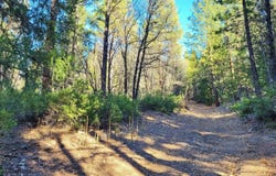 59791 Highway 70, Blairsden, CA 96103