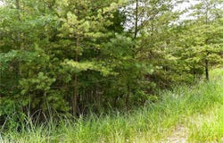 The Vines Boulevard lot: 22, Marshall, NC 28753