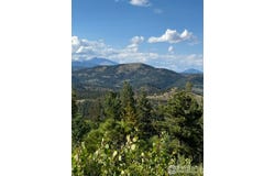 178 Hazelwood Dr, Nederland, CO 80466