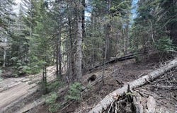 49 Pinon Dr, Alton, UT 84762