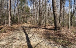 10.79ac S/O Buffalo Rd, Oneida, TN 37841