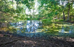 000 State Highway MM, Niangua, MO 65713