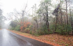 1348 CR 448, Carthage, TX 75633