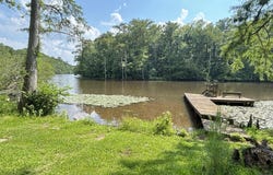 207 Rose Road, Como, NC 27818