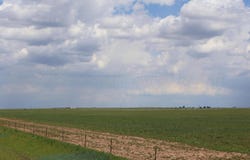 FM 2397, Dimmitt, TX 79027