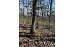 20 Marshall Road, Washington, MO 63090