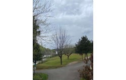 141 Marble Hill Church Road, Jasper, GA 30143