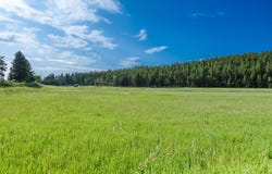 930 Kienas Road, Kalispell, MT 59901