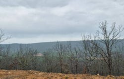 19 Saddlegap Ranch Drive, Tuskahoma, Ok., OK 74571