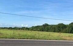 La Hwy 14, Kaplan, LA 70548