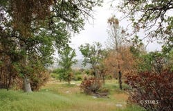 22885 Mistletoe Court, Caliente, CA 93518