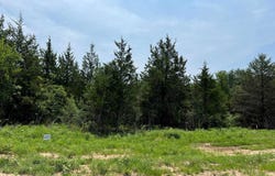 165 Deerfield Road, Colbert, OK 74733