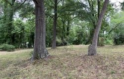 531 Homeland Avenue, Durham, NC 27707