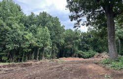 0 County Road 61, Roanoke, AL 36274