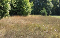 TBD N WEBB RD, HESSEL, MI 49745