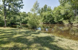 2210 Diggins Road, Seymour, MO 65746