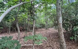 Tbd Dogwood Trail, Hillsville, VA 24343