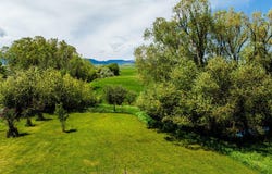 272 St Hwy 335, Big Horn, WY 82833