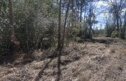 Orange Grove Road, Moss Point, MS 39562