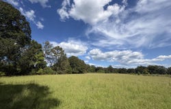 Sharon Road, Canton, MS 39046