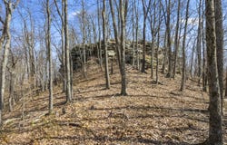 1954 Wheel Rim Road, Hazel Green, KY 41332