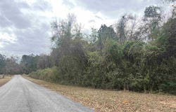 3000 Block N Pine Barren Rd, Mcdavid, FL 32568