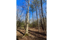 0 S Fred Circle, Kenly, NC 27542