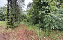 552 Thomas Street, Henderson, NC 27537