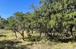 1276 Fm 574 W, Mullin, TX 76864