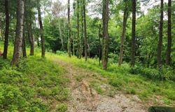 1338 E 100 N Road, Washington, IN 47501