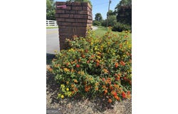 70 Lakeshore, Hartwell, GA 30643