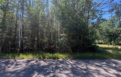 NHN Norwood Court, Presque Isle, MI 49777