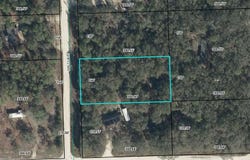 NW 11th Ave, Bell, FL 32619