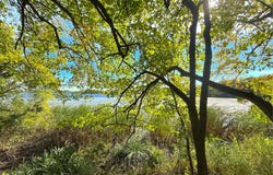 78th Street NW lot: 3 Blk 1, South Haven, MN 55382