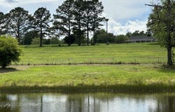 Parcel H County Road 20 / New Ebenezer, Florala, AL 36442