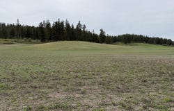 TBD ZIMMER RD, ADDY, WA 99101