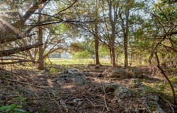 315 RITTIMANN RD, Spring Branch, TX 78070