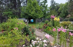 16691 W Hollister Hills Dr, Hauser, ID 83854