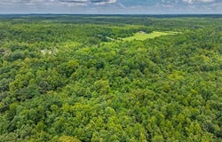 CR 303, TAYLOR, MS 38673