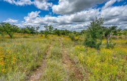 10 Acres Schneider Loop, Llano, TX 78643-0000