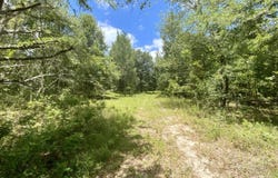 NE Dandelion Street, Madison, FL 32340