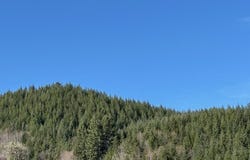 000 Logsden RD, Blodgett, OR 97326